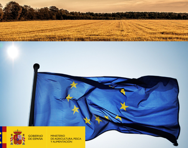 Los agricultores y ganaderos españoles podrán recibir hasta 3.386 millones de euros en pagos anticipados de la PAC a partir del 16 de octubre