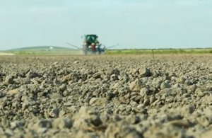 VÍDEO: La siembra del algodón se retrasa por la sequía