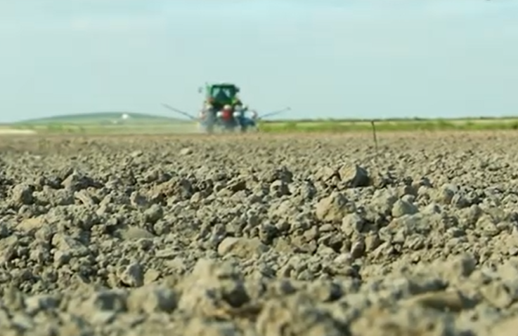 VÍDEO: La siembra del algodón se retrasa por la sequía