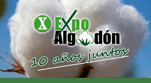Mañana se presenta la X edición de EXPOALGODÓN en el ayuntamiento de Lebrija