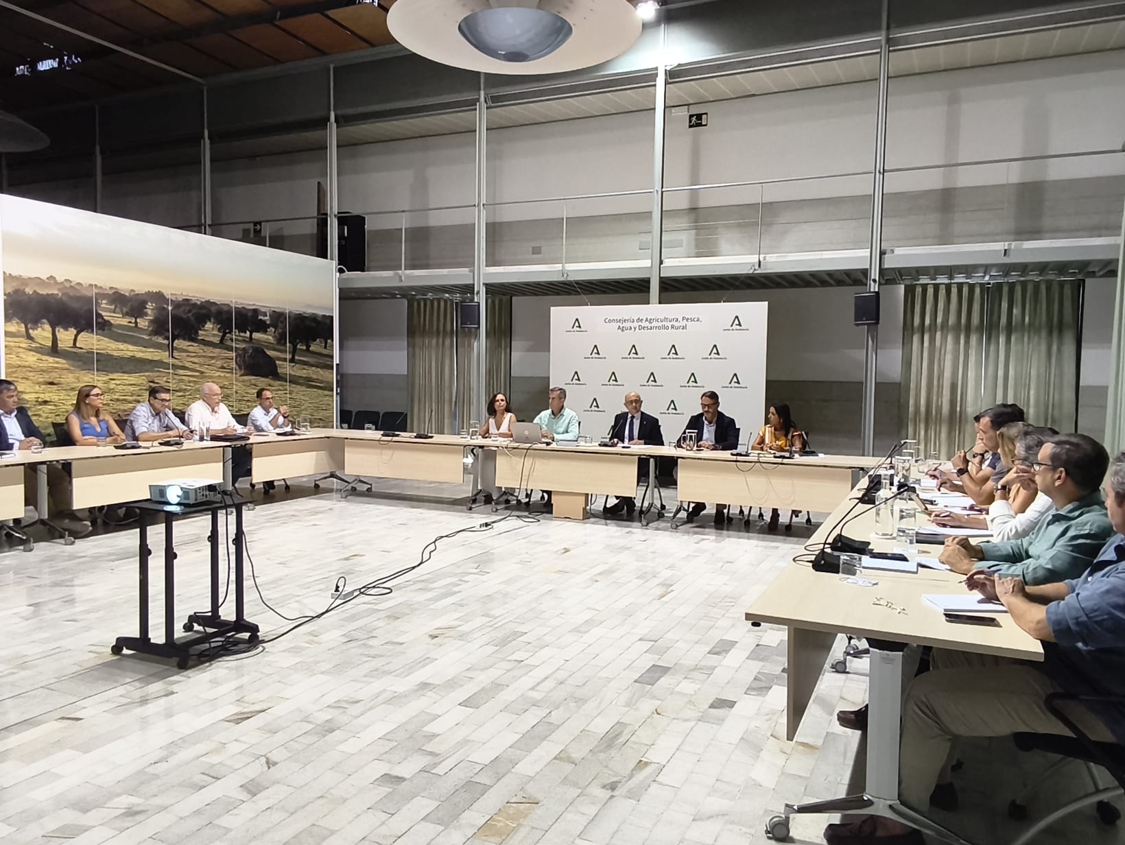 Andalucía prevé una producción de 131.442 toneladas de algodón en la próxima campaña